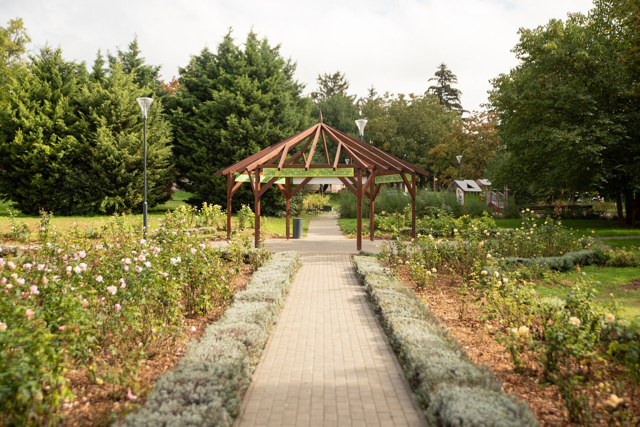 babak_rozsakertje (145)